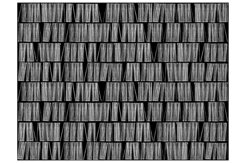 Valokuvatapetti Home Library 400x309 - Artgeist sp. z o. o. - Sisustustuotteet - Seinäkoristeet - Tapetit - Valokuvatapetit