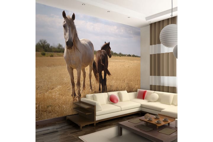 Valokuvatapetti Horse And Foal 300x231 - Artgeist sp. z o. o. - Valokuvatapetit