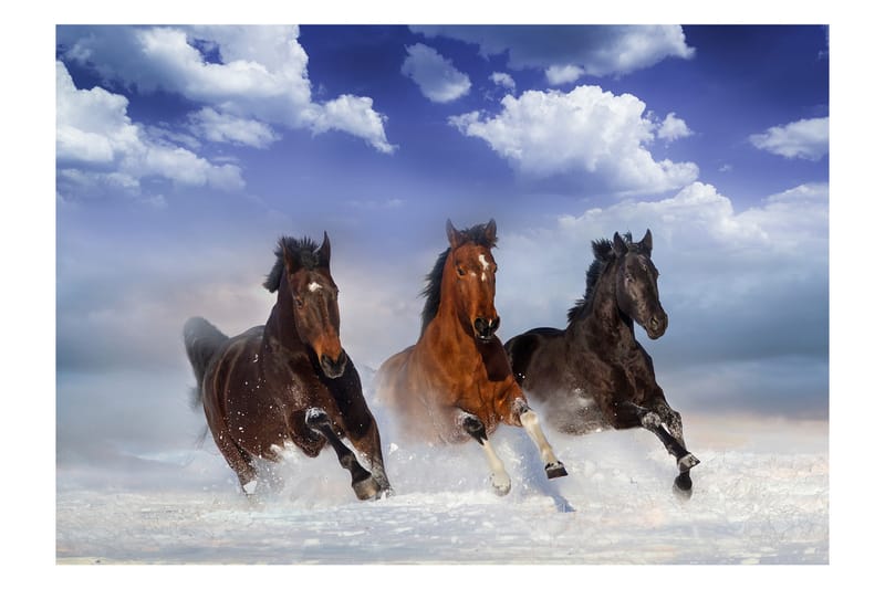 Valokuvatapetti Horses In The Snow 150x105 - Artgeist sp. z o. o. - Sisustustuotteet - Seinäkoristeet - Tapetit - Valokuvatapetit
