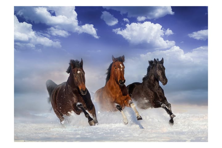 Valokuvatapetti Horses In The Snow 400x280 - Artgeist sp. z o. o. - Valokuvatapetit