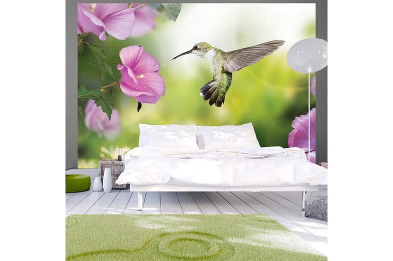 Valokuvatapetti Humming-Bird 100x70, Artgeist sp. z o. o.