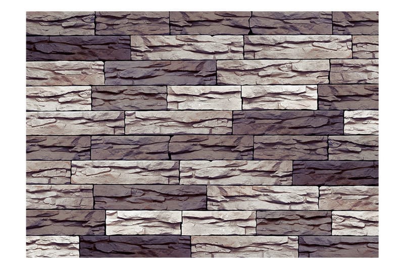 Valokuvatapetti Impassive 250x175 - Artgeist sp. z o. o. - Sisustustuotteet - Seinäkoristeet - Tapetit - Valokuvatapetit