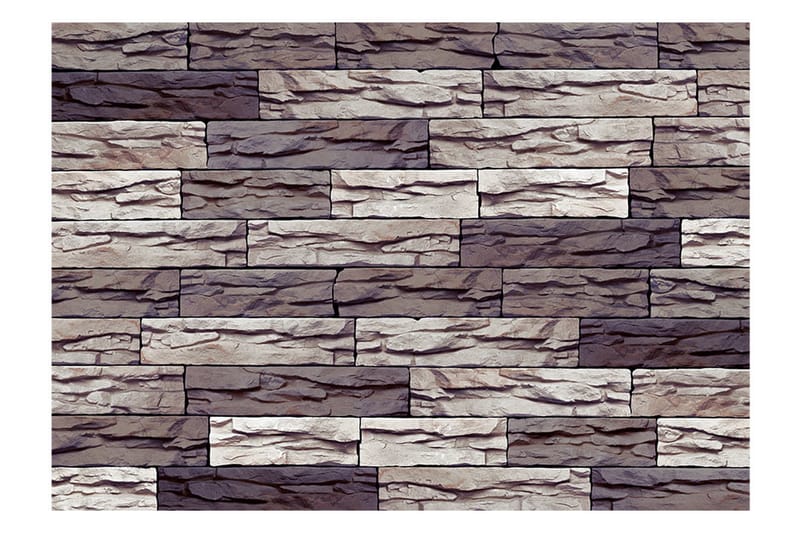 Valokuvatapetti Impassive 400x280 - Artgeist sp. z o. o. - Sisustustuotteet - Seinäkoristeet - Tapetit - Valokuvatapetit