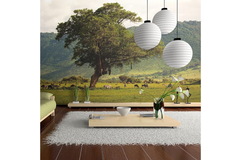 Valokuvatapetti In A Crater Of Ngoro Ngoro 300x231, Artgeist sp. z o. o.