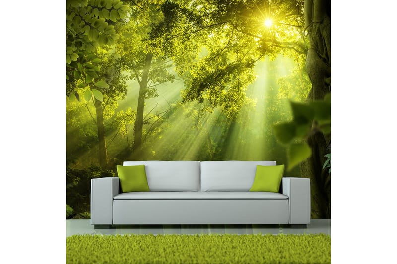 Valokuvatapetti In A Secret Forest 200x140, Artgeist sp. z o. o.