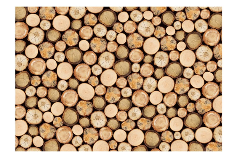 Valokuvatapetti In Sawmill 150x105 - Artgeist sp. z o. o. - Sisustustuotteet - Seinäkoristeet - Tapetit - Valokuvatapetit