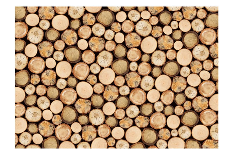 Valokuvatapetti In Sawmill 300x210 - Artgeist sp. z o. o. - Sisustustuotteet - Seinäkoristeet - Tapetit - Valokuvatapetit