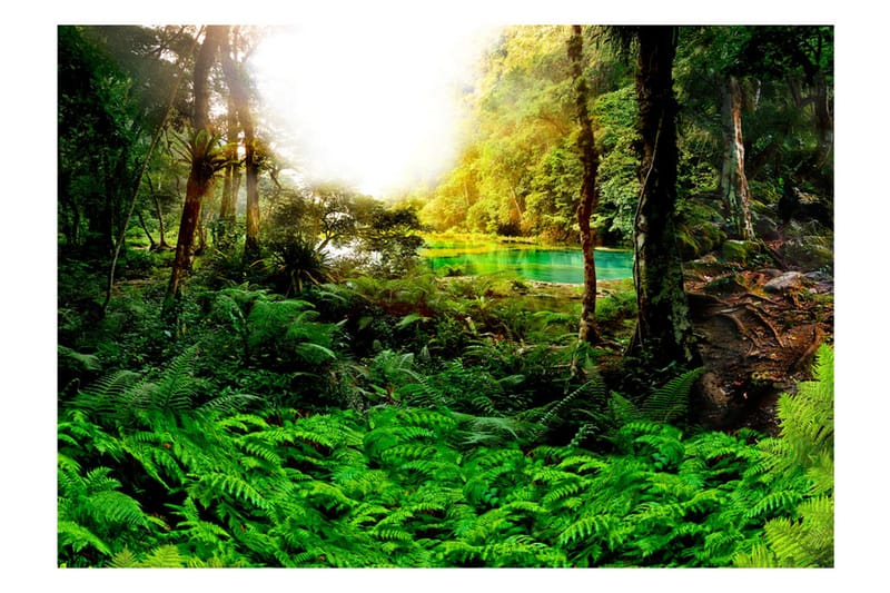 Valokuvatapetti In Tropics 200x140 - Artgeist sp. z o. o. - Sisustustuotteet - Seinäkoristeet - Tapetit - Valokuvatapetit