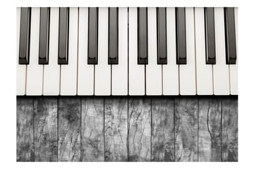 Valokuvatapetti Inspired By Chopin Grey Wood 250x175 - Artgeist sp. z o. o. - Sisustustuotteet - Seinäkoristeet - Tapetit - Valokuvatapetit