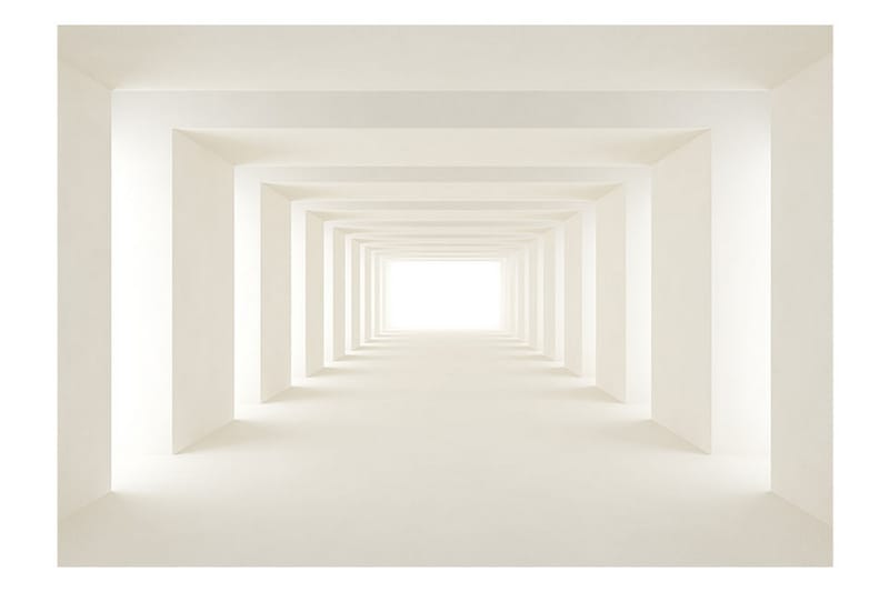 Valokuvatapetti Into The Light 250x175 - Artgeist sp. z o. o. - Sisustustuotteet - Seinäkoristeet - Tapetit - Valokuvatapetit