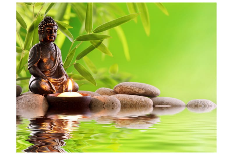 Valokuvatapetti Itsetuntemuksen harjoittelu 350x270, Artgeist sp. z o. o.