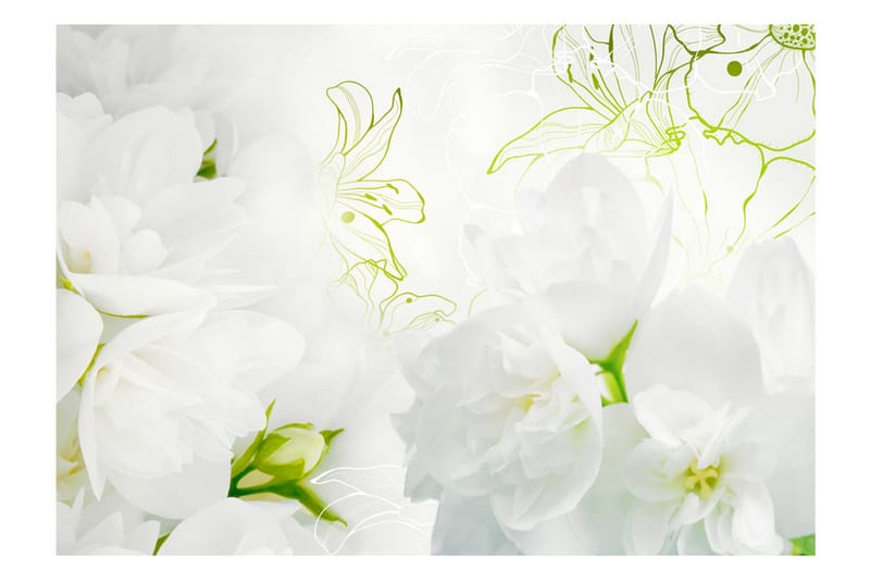 Valokuvatapetti Jasmine 300x210 - Artgeist sp. z o. o. - Sisustustuotteet - Seinäkoristeet - Tapetit - Valokuvatapetit