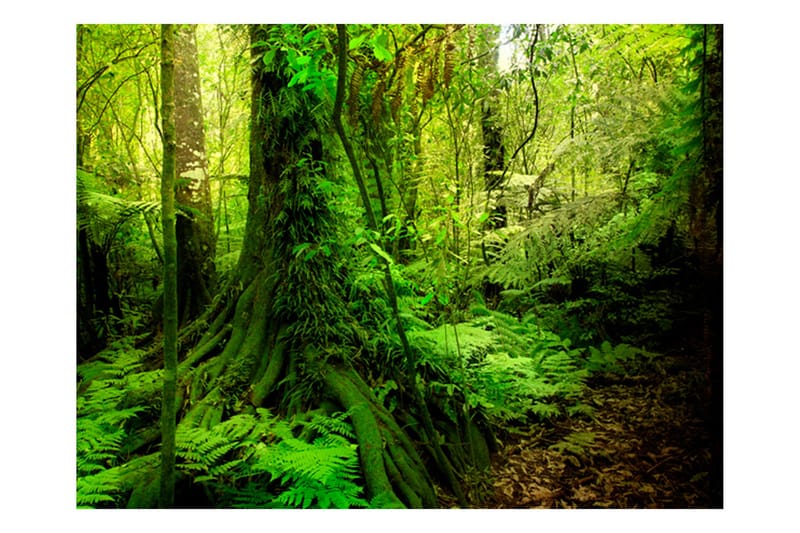 Valokuvatapetti Jungle 200x154, Artgeist sp. z o. o.