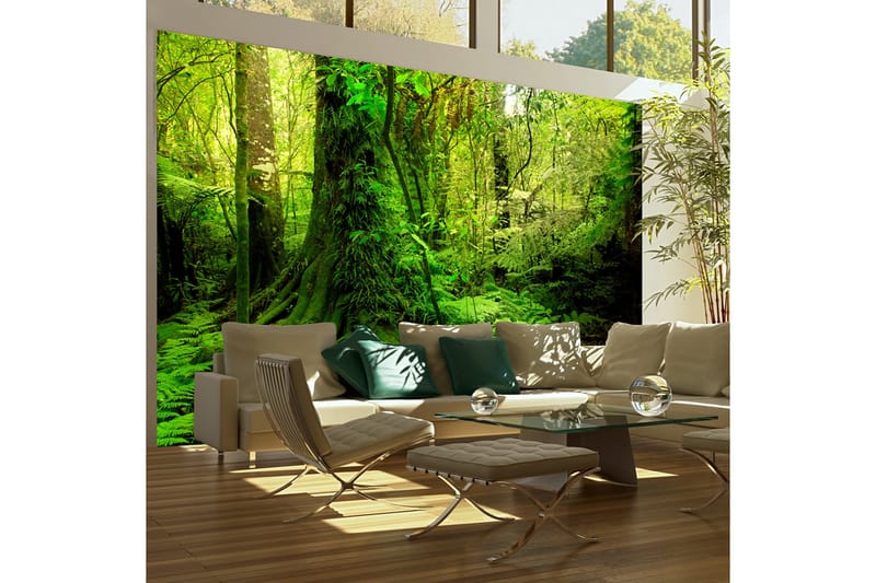 Valokuvatapetti Jungle 300x231 - Artgeist sp. z o. o. - Sisustustuotteet - Seinäkoristeet - Tapetit - Valokuvatapetit