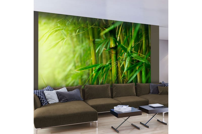 Valokuvatapetti Jungle Bamboo 300x231 - Artgeist sp. z o. o. - Sisustustuotteet - Seinäkoristeet - Tapetit - Valokuvatapetit