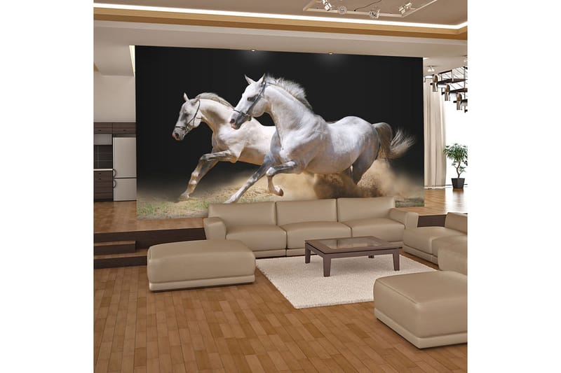Valokuvatapetti Juoksevia Hevosia Hiekalla 250x193, Artgeist sp. z o. o.