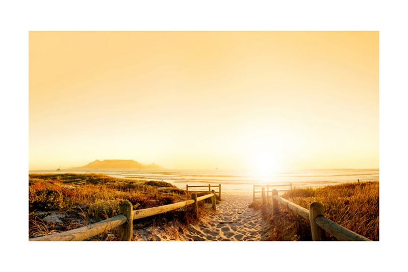 Valokuvatapetti Käy aurinkoa päin 450x270 - Artgeist sp. z o. o. - Sisustustuotteet - Seinäkoristeet - Tapetit - Valokuvatapetit