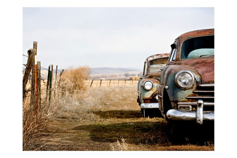Valokuvatapetti Kaksi Vanhaa Amerikan Autoa 250x193, Artgeist sp. z o. o.