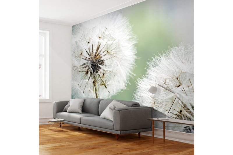 Valokuvatapetti Kaksi voikukkaa 200x154 - Artgeist sp. z o. o. - Sisustustuotteet - Seinäkoristeet - Tapetit - Valokuvatapetit