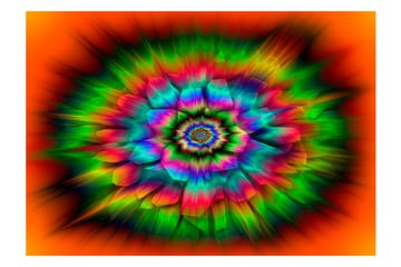 Valokuvatapetti Kaleidoscope Of Colours 100x70 - Artgeist sp. z o. o. - Sisustustuotteet - Seinäkoristeet - Tapetit - Valokuvatapetit