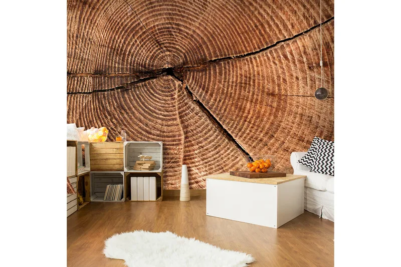 Valokuvatapetti Kanto Läpileikkaus 350x270, Artgeist sp. z o. o.