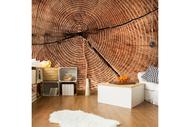 Valokuvatapetti Kanto Läpileikkaus 400x309, Artgeist sp. z o. o.