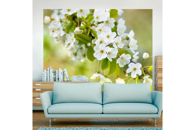 Valokuvatapetti Kauniita kirsikankukkia 250x193 - Artgeist sp. z o. o. - Sisustustuotteet - Seinäkoristeet - Tapetit - Valokuvatapetit