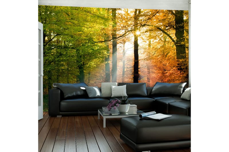 Valokuvatapetti Kaunis syksy 200x154 - Artgeist sp. z o. o. - Sisustustuotteet - Seinäkoristeet - Tapetit - Valokuvatapetit