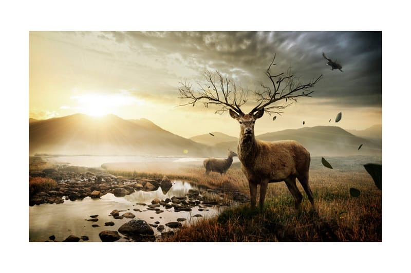 Valokuvatapetti Kauris tunturilla 450x270 - Artgeist sp. z o. o. - Sisustustuotteet - Seinäkoristeet - Tapetit - Valokuvatapetit