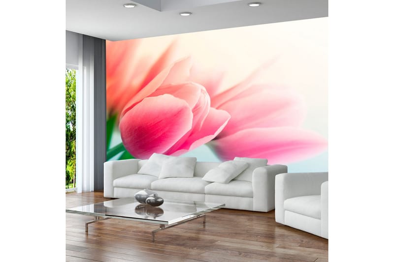 Valokuvatapetti Kevät ja tulppaanit 300x231, Artgeist sp. z o. o.