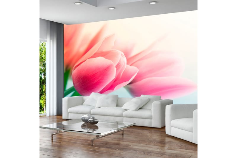 Valokuvatapetti Kevät ja tulppaanit 400x309, Artgeist sp. z o. o.