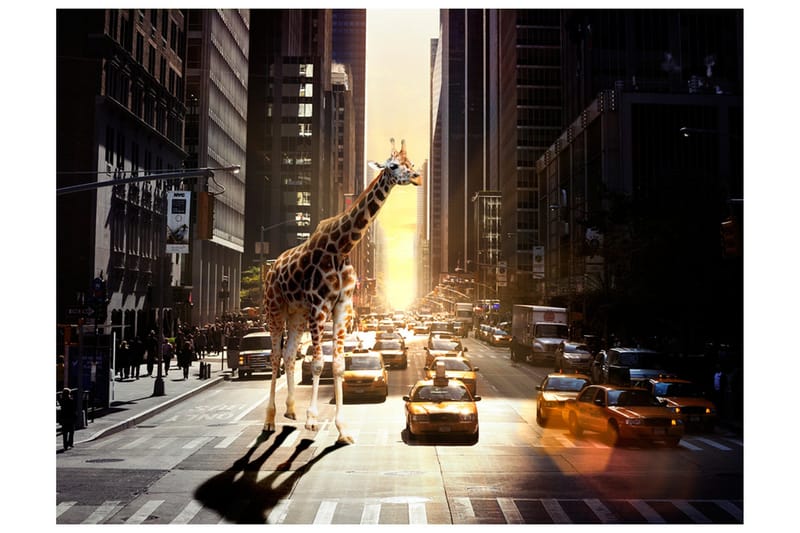 Valokuvatapetti Kirahvi suurkaupungissa 350x270, Artgeist sp. z o. o.