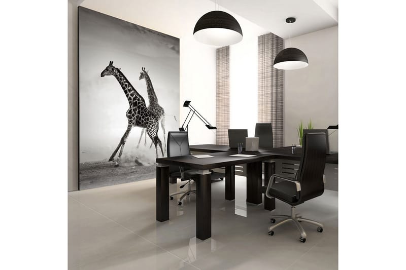 Valokuvatapetti Kirahvit 200x154, Artgeist sp. z o. o.