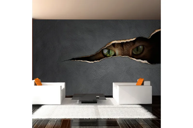 Valokuvatapetti Kissan katse 450x270, Artgeist sp. z o. o.