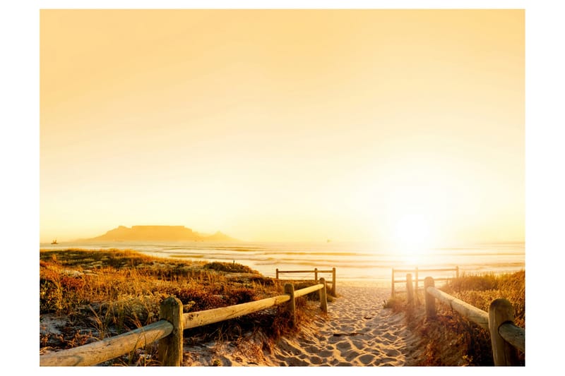 Valokuvatapetti Kohti Aurinkoa 250x193, Artgeist sp. z o. o.