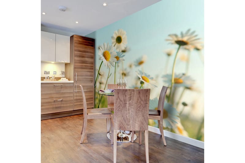 Valokuvatapetti Koiranputket kevätniityllä 400x309, Artgeist sp. z o. o.