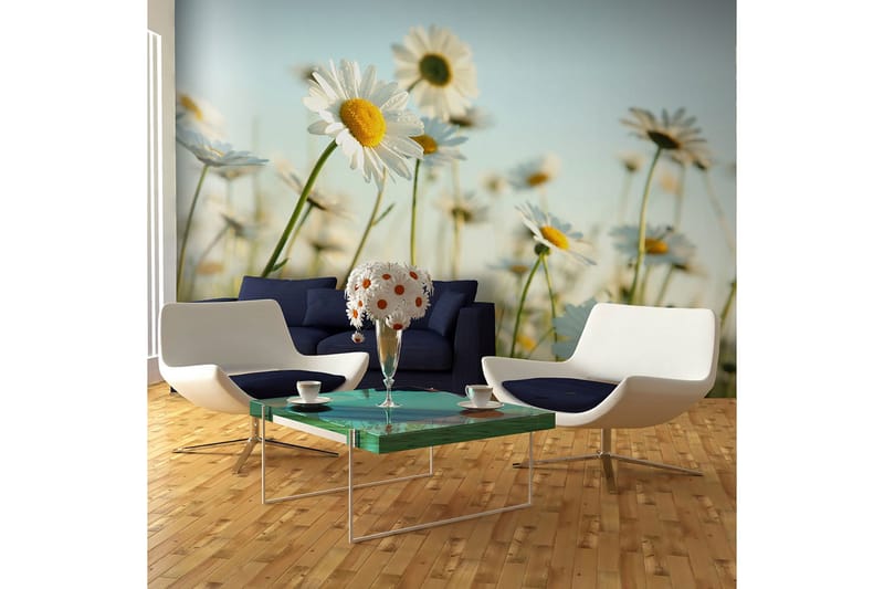 Valokuvatapetti Koiranputket kevätniityllä 450x270, Artgeist sp. z o. o.