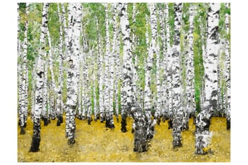 Valokuvatapetti Koivulehto 250x193 - Artgeist sp. z o. o. - Sisustustuotteet - Seinäkoristeet - Tapetit - Valokuvatapetit