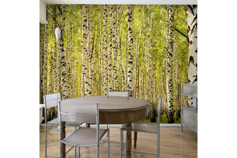 Valokuvatapetti Koivumetsä 400x309, Artgeist sp. z o. o.