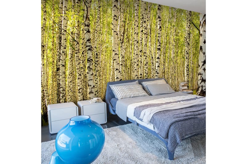 Valokuvatapetti Koivumetsä 450x270, Artgeist sp. z o. o.