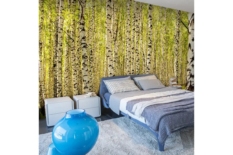 Valokuvatapetti Koivumetsä 450x270, Artgeist sp. z o. o.