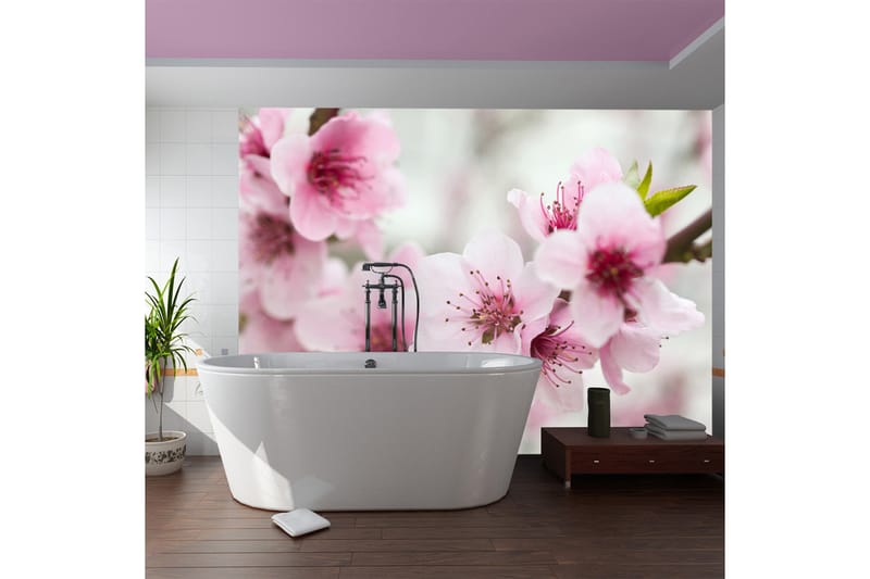 Valokuvatapetti Kukkiva Puu Vaaleanpunaiset kukat 350x270, Artgeist sp. z o. o.
