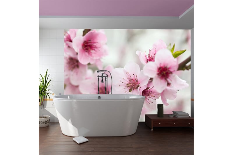 Valokuvatapetti Kukkiva Puu Vaaleanpunaiset kukat 400x309, Artgeist sp. z o. o.