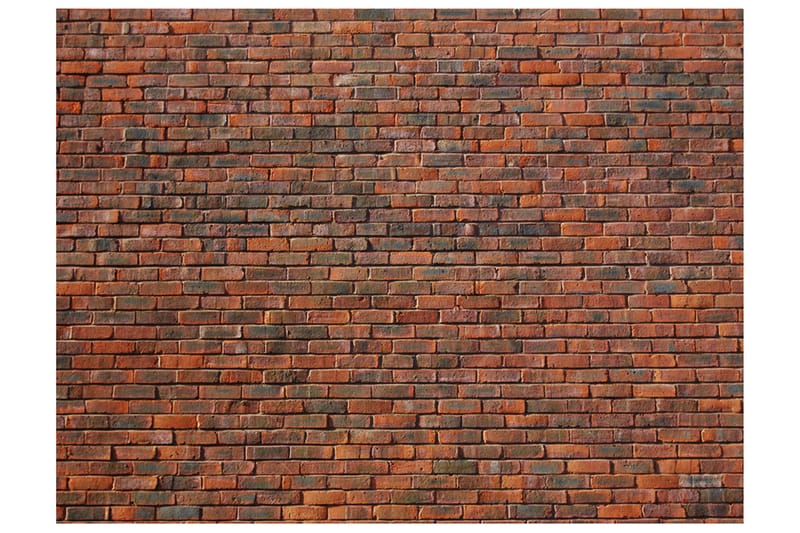 Valokuvatapetti Kuvio Tiili 250x193, Artgeist sp. z o. o.