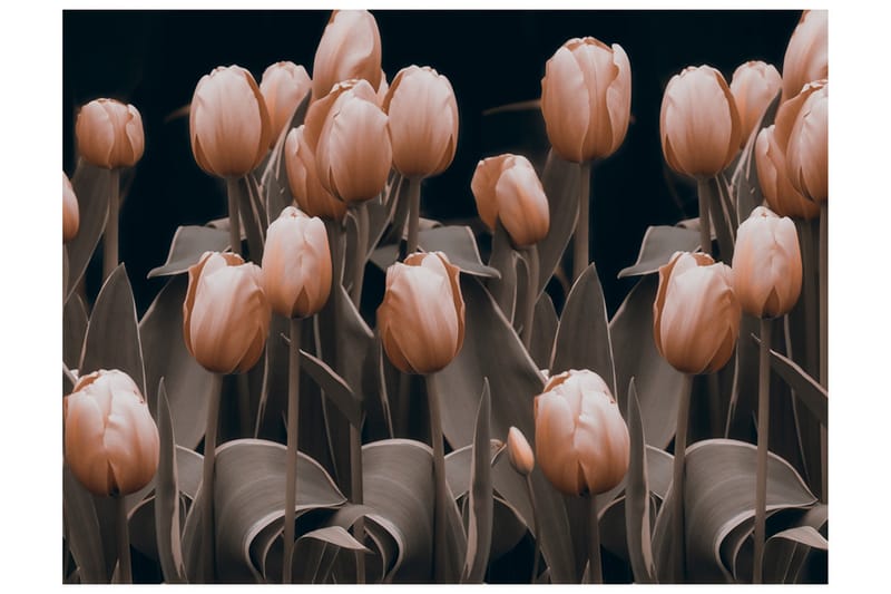Valokuvatapetti Ladies Among The Flowers 250x193 - Artgeist sp. z o. o. - Sisustustuotteet - Seinäkoristeet - Tapetit - Valokuvatapetit