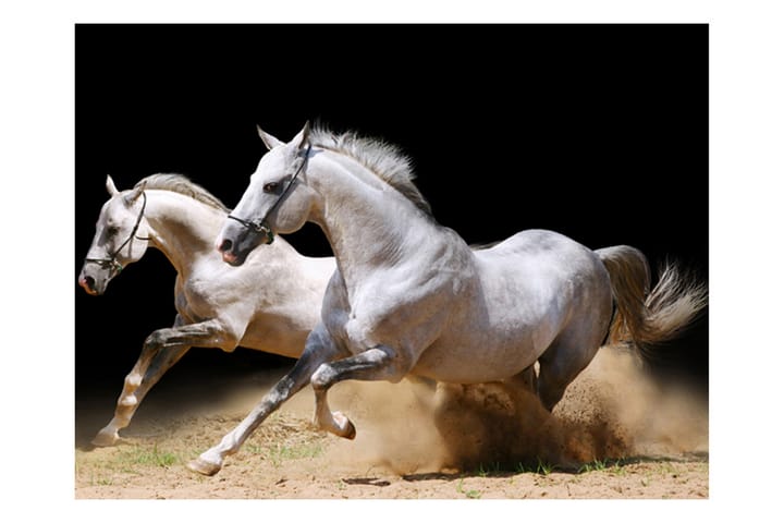 Valokuvatapetti Laukkaavat hevoset hiekassa 300x231 - Artgeist sp. z o. o. - Valokuvatapetit