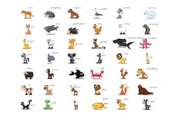 Valokuvatapetti Learning By Playing Animals 200x154 - Artgeist sp. z o. o. - Sisustustuotteet - Seinäkoristeet - Tapetit - Valokuvatapetit