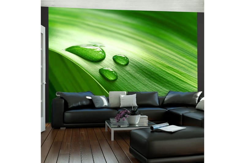 Valokuvatapetti Lehti ja kolme pisaraa vettä 400x309 - Artgeist sp. z o. o. - Sisustustuotteet - Seinäkoristeet - Tapetit - Valokuvatapetit