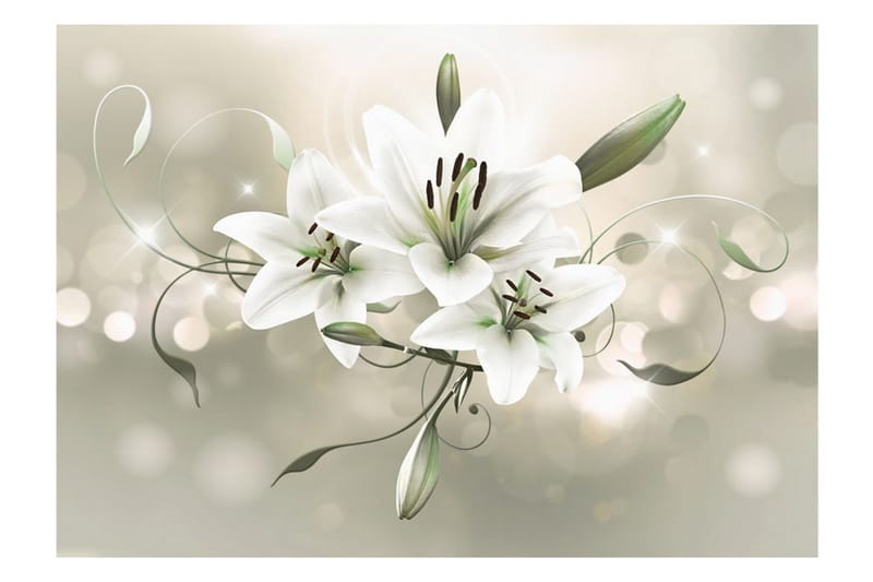 Valokuvatapetti Lily Flower Of Masters 150x105 - Artgeist sp. z o. o. - Sisustustuotteet - Seinäkoristeet - Tapetit - Valokuvatapetit