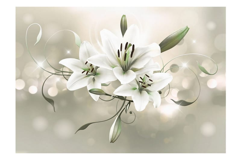 Valokuvatapetti Lily Flower Of Masters 200x140 - Artgeist sp. z o. o. - Sisustustuotteet - Seinäkoristeet - Tapetit - Valokuvatapetit